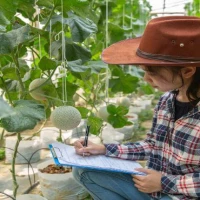 Agriculture Accountants 2